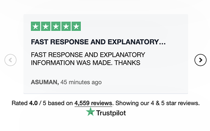 Customer review highlighting fast response and clear information about passport services, rated 4.0 out of 5 stars based on 4,559 reviews, with Trustpilot logo.